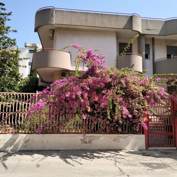 esavano in vendita a Taranto in zona Solito-Corvisea