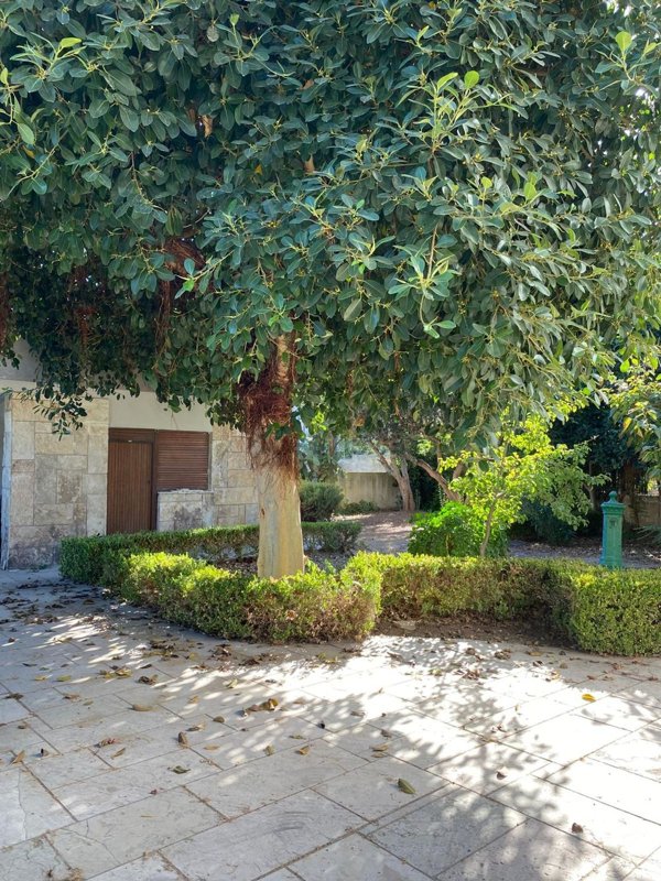 casa indipendente in vendita a Taranto