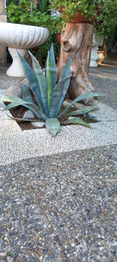 casa indipendente in vendita a Taranto