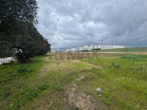 terreno agricolo in vendita a Taranto in zona Solito-Corvisea