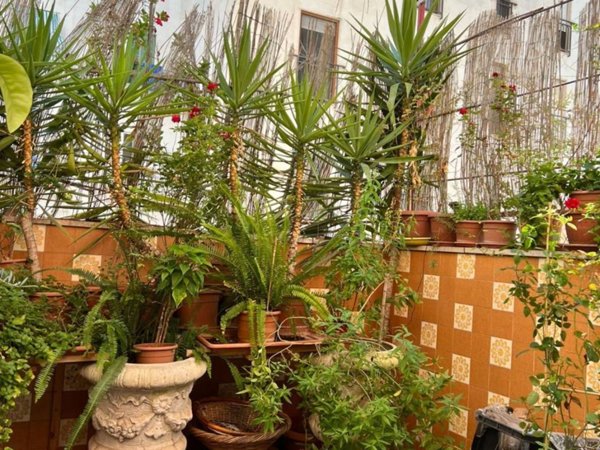 appartamento in vendita a Taranto in zona Borgo