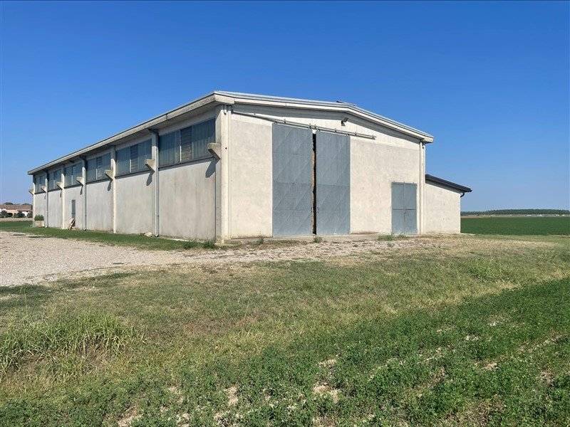 terreno agricolo in vendita a Torricella