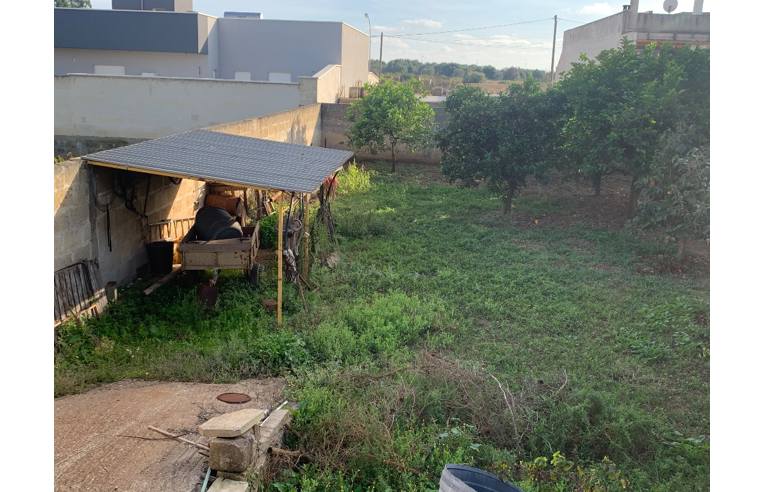 terreno agricolo in vendita a Torricella