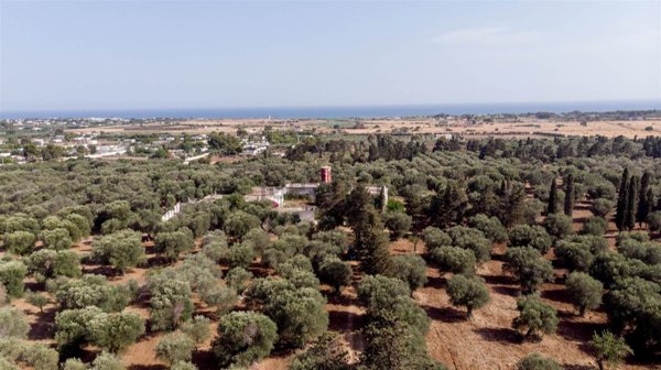 casale in vendita a Torricella