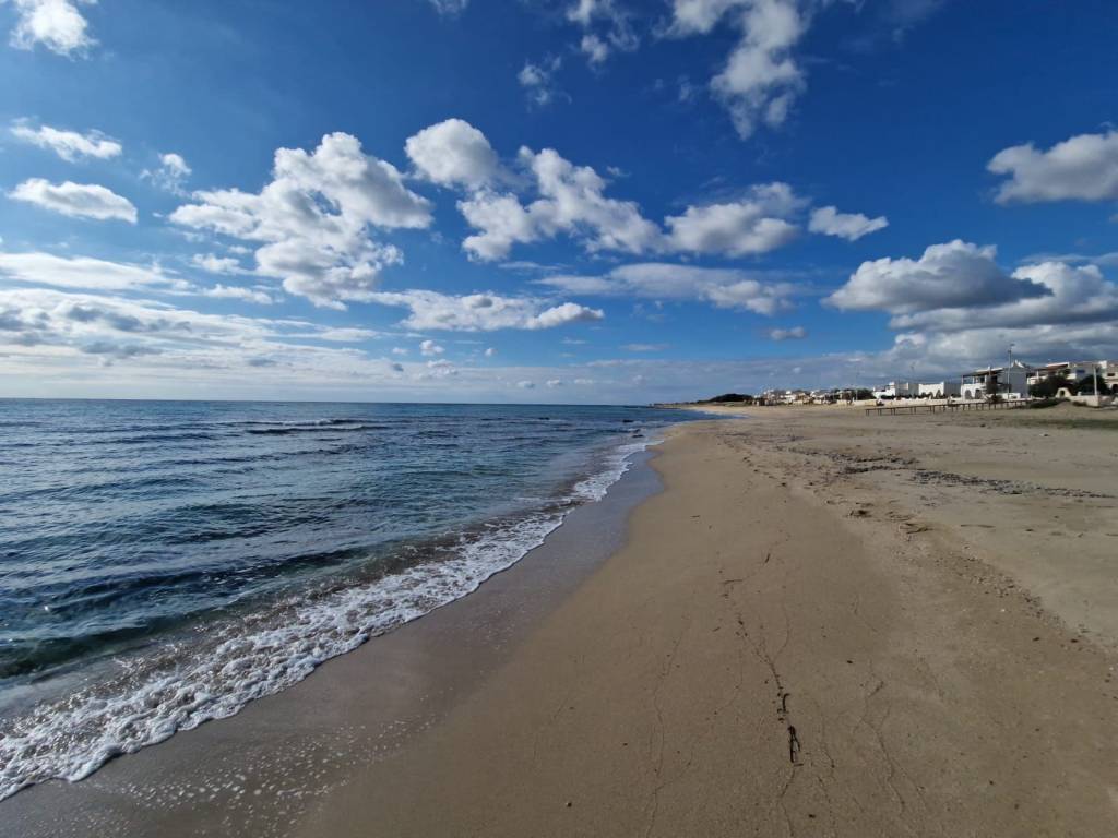 appartamento in vendita a Torricella