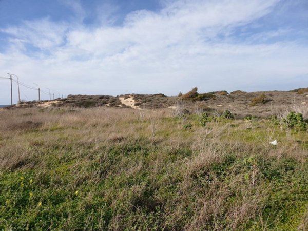 casa indipendente in vendita a Torricella