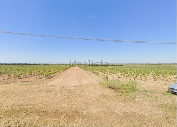 terreno agricolo in vendita a Torricella in zona Monacizzo