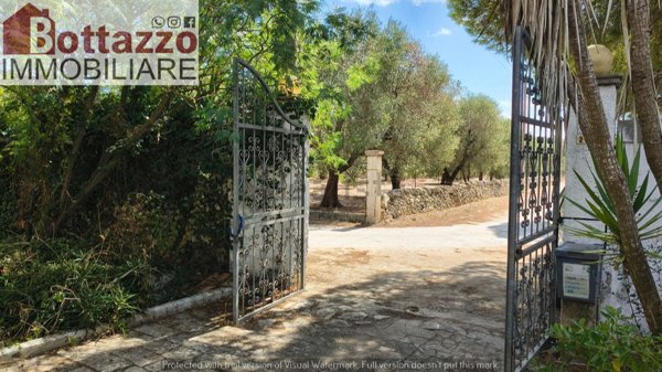 casa indipendente in vendita a Torricella