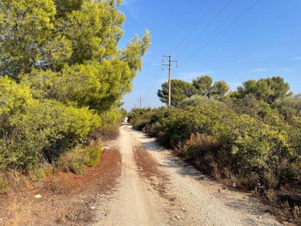 terreno agricolo in vendita a Statte