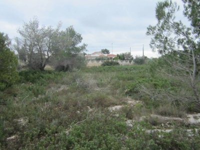 terreno agricolo in vendita a Statte