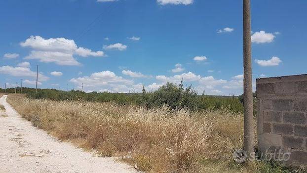 terreno agricolo in vendita a Statte