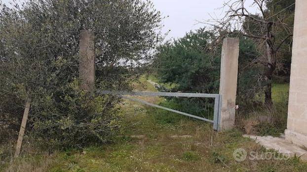 terreno agricolo in vendita a Statte