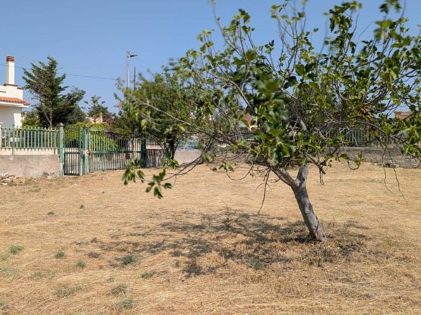 terreno edificabile in vendita a Statte