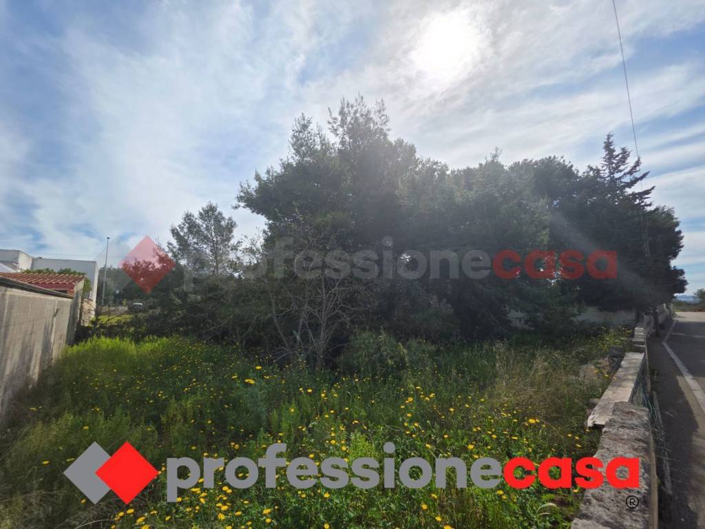 terreno agricolo in vendita a Statte