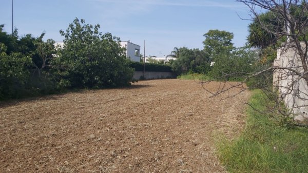 terreno agricolo in vendita a Brindisi in zona Minnuta