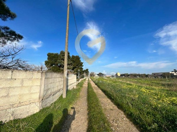 terreno agricolo in vendita a Brindisi