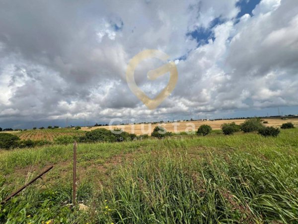 terreno agricolo in vendita a Brindisi