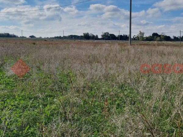 terreno agricolo in vendita a Brindisi