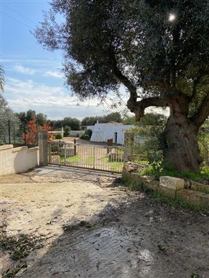 casa indipendente in vendita a Brindisi