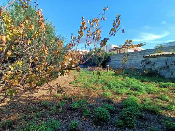 casa indipendente in vendita a Brindisi in zona Paradiso
