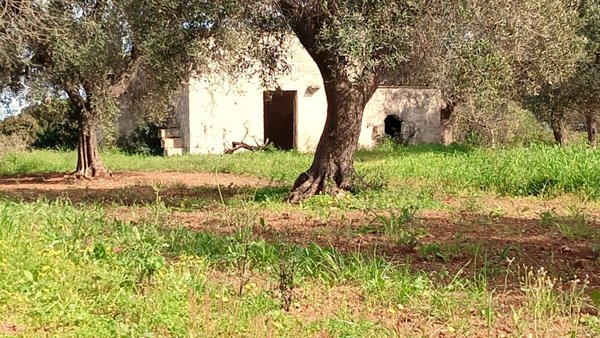 casa indipendente in vendita a Brindisi