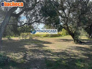 terreno edificabile in vendita a Brindisi in zona La Rosa