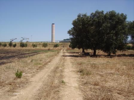 terreno agricolo in vendita a Brindisi