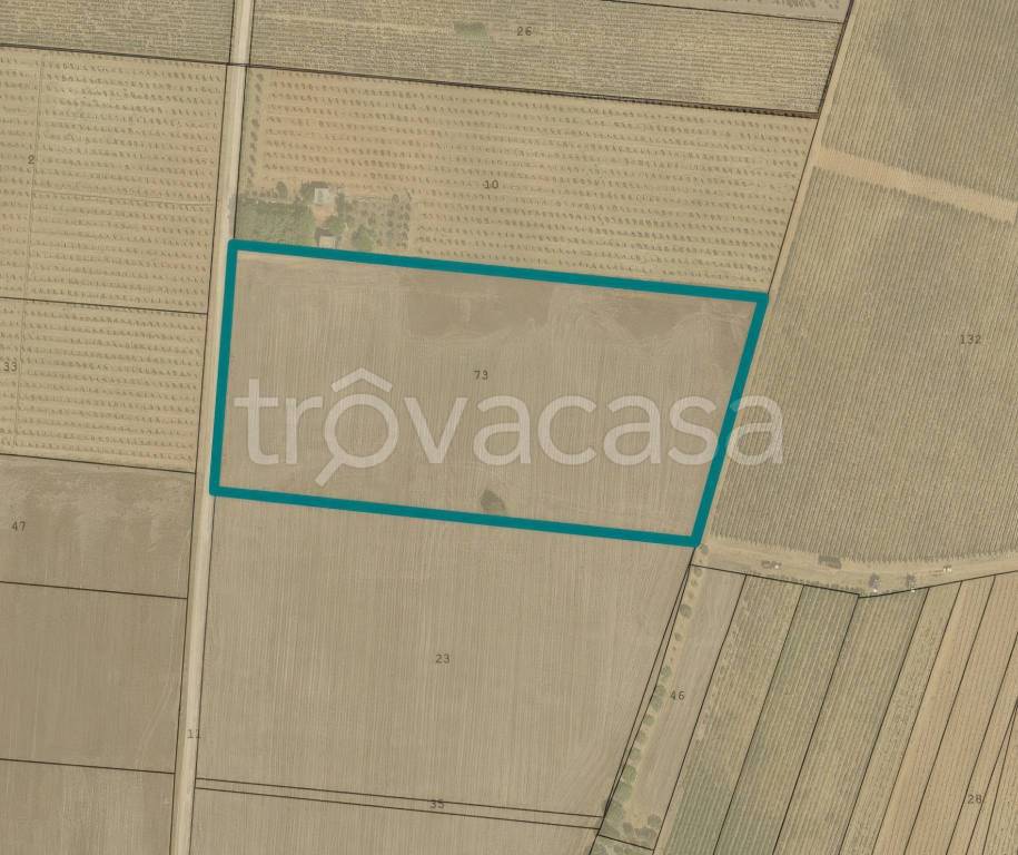 terreno agricolo in vendita a Brindisi in zona Tuturano