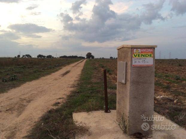 azienda agricola in vendita a Brindisi