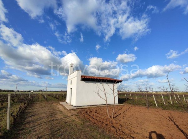 terreno agricolo in vendita a Brindisi