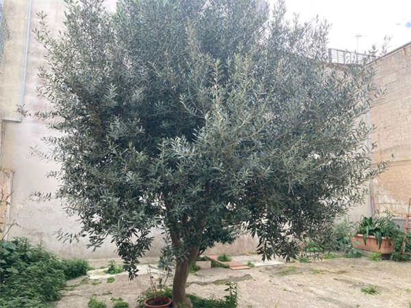 appartamento in vendita a Brindisi in zona Centro Città