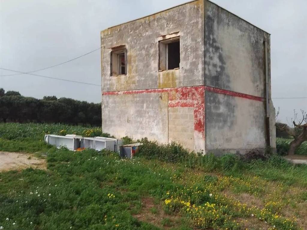 terreno agricolo in vendita a Brindisi