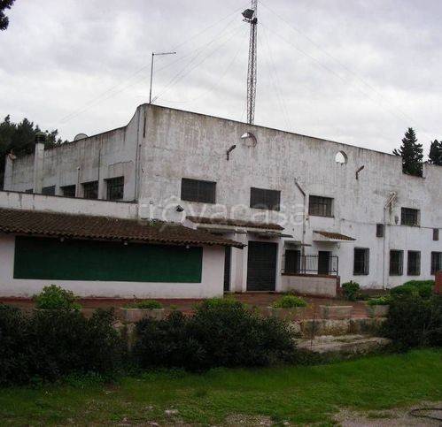 negozio in vendita a Brindisi