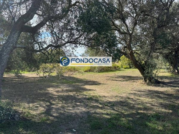 terreno agricolo in vendita a Brindisi in zona La Rosa