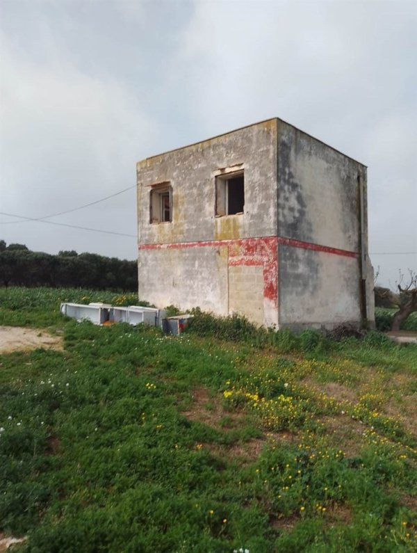 terreno agricolo in vendita a Brindisi