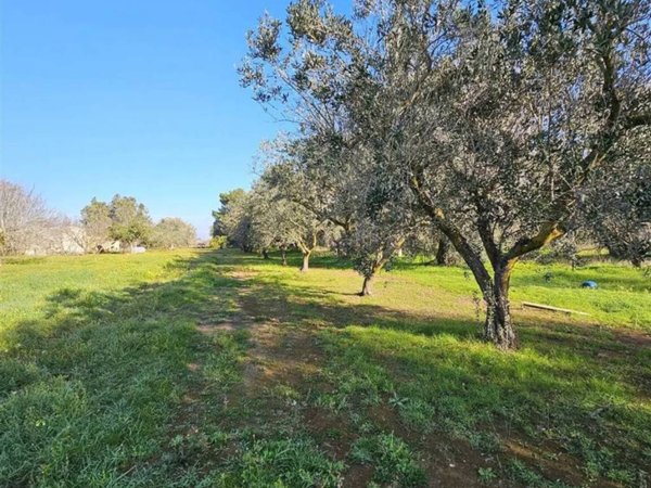 terreno agricolo in vendita a Brindisi in zona Centro Città