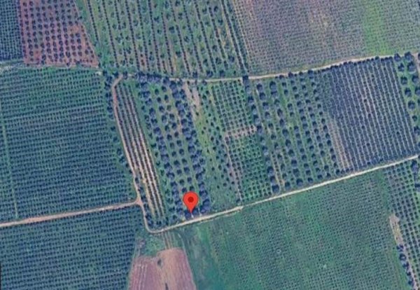 terreno agricolo in vendita a Brindisi