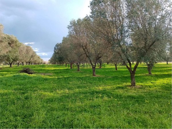 casa indipendente in vendita a Brindisi in zona Commenda