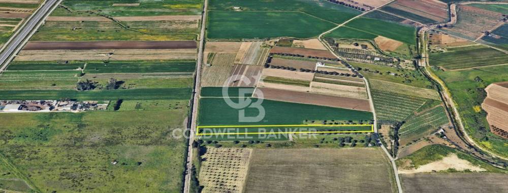 terreno agricolo in vendita a Brindisi