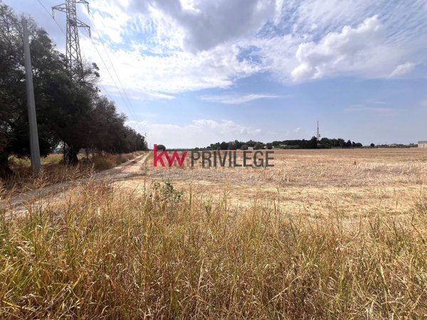 terreno agricolo in vendita a Brindisi