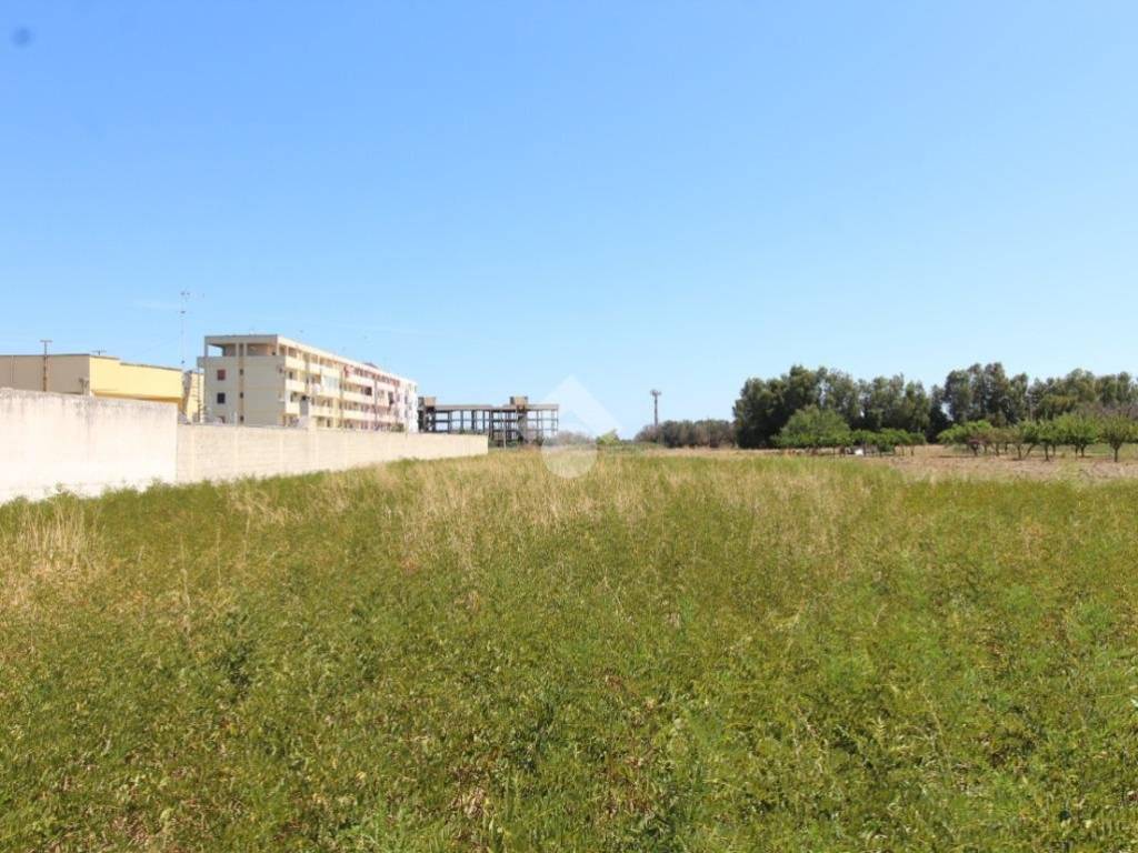 terreno agricolo in vendita a Brindisi in zona Tuturano