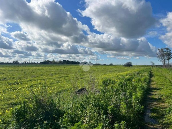 casa indipendente in vendita a Brindisi in zona Minnuta