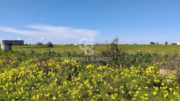 terreno agricolo in vendita a Brindisi in zona Perrino