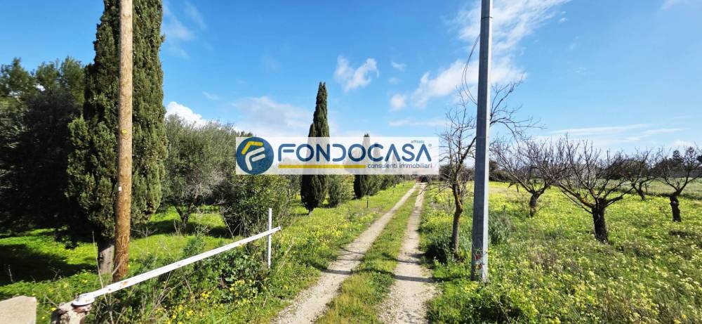casa indipendente in vendita a Brindisi in zona Centro Città