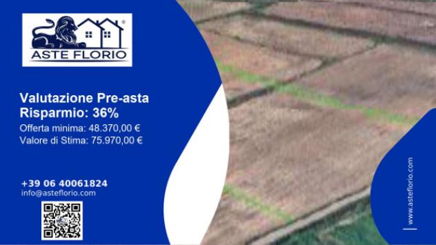 terreno agricolo in vendita a Brindisi in zona Tuturano