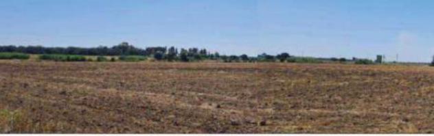 terreno agricolo in vendita a Brindisi in zona Tuturano