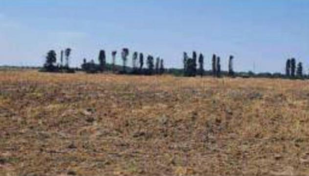 terreno agricolo in vendita a Brindisi in zona Tuturano