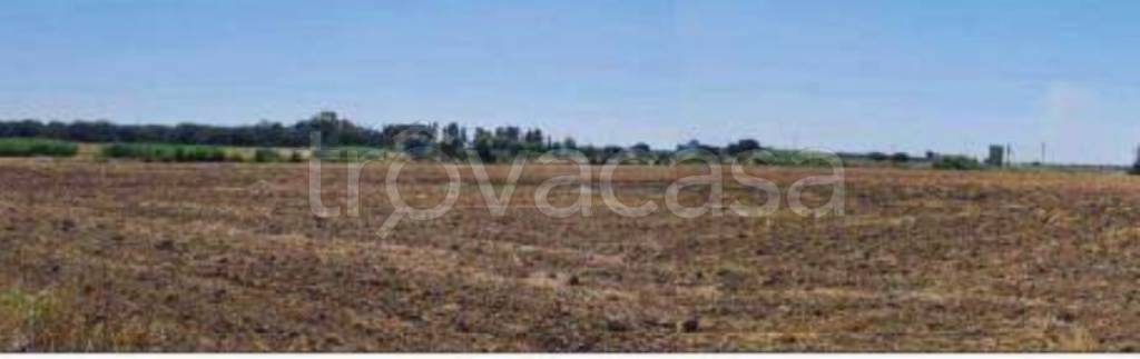 terreno agricolo in vendita a Brindisi in zona Tuturano