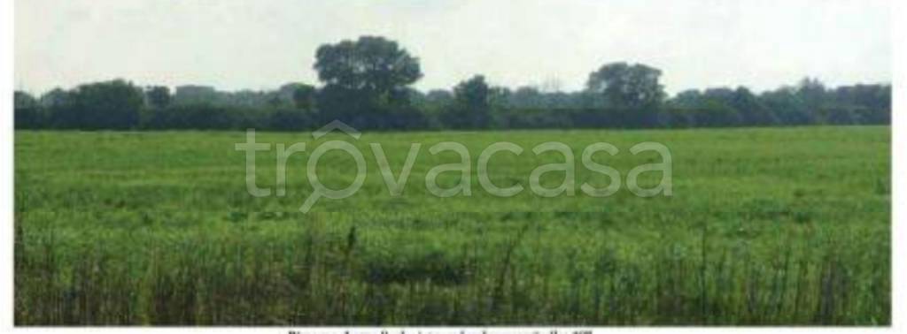 terreno agricolo in vendita a Brindisi in zona Tuturano
