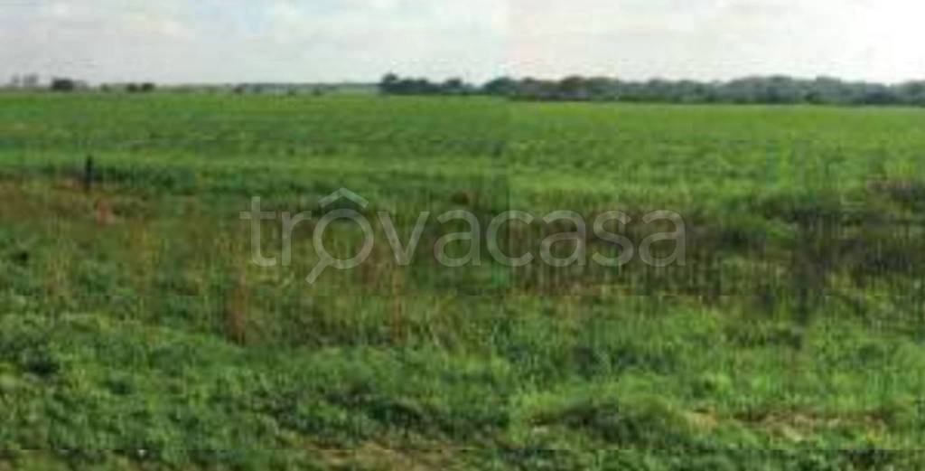 terreno agricolo in vendita a Brindisi in zona Tuturano